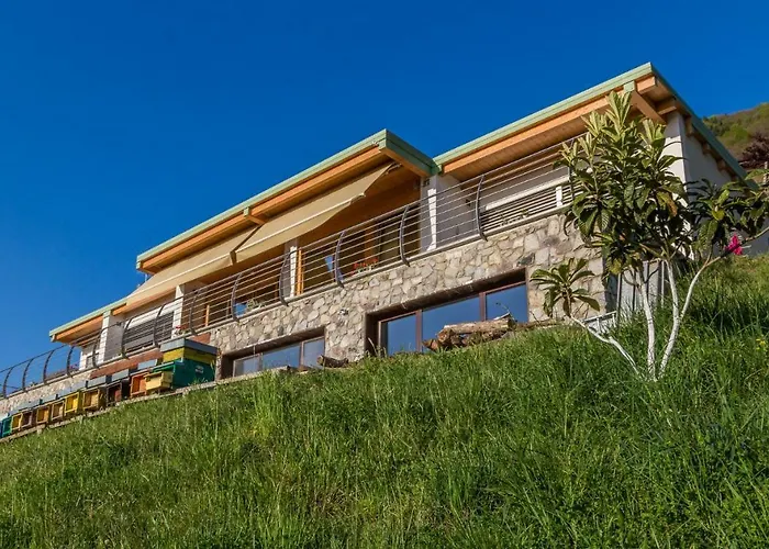 Agriturismo Alveare Sul Lago
